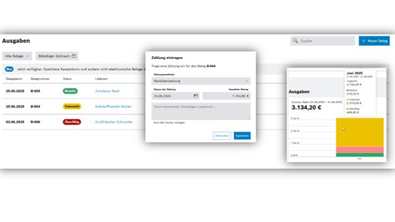 Screenshot einer Ausgabenübersicht mit Tabellen und Diagramm. Eingabefeld für Zahlungen sichtbar.